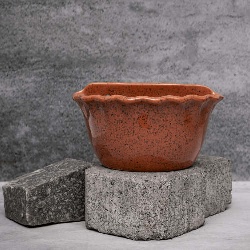 Crimson Curly Planter By Shivika's Pottery